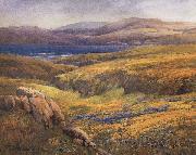 unknow artist Point Lobos in the Springtime oil painting reproduction